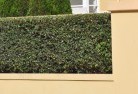 Mossy Pointbarrier-wall-fencing-2.jpg; ?>